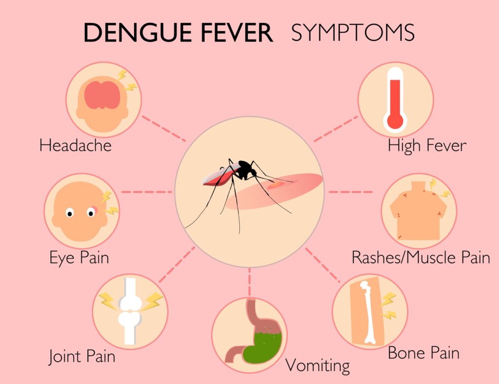 Symptoms to look out for Dengue in India. 