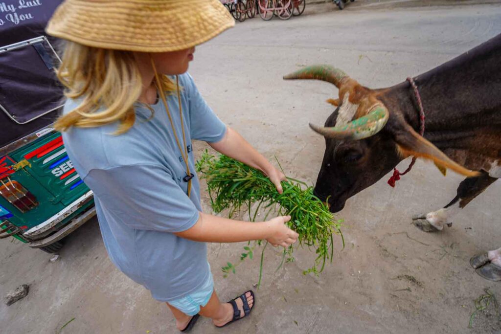 Things to do in Jaipur with kids. 