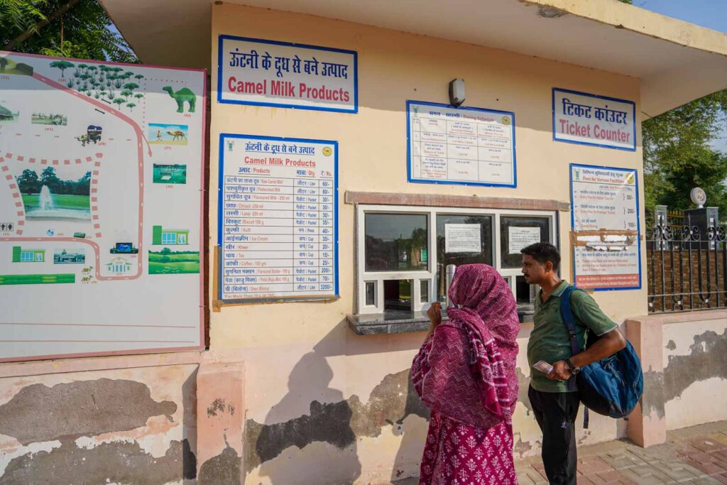 Lining up for Camel Ice Cream in Bikaner. 
