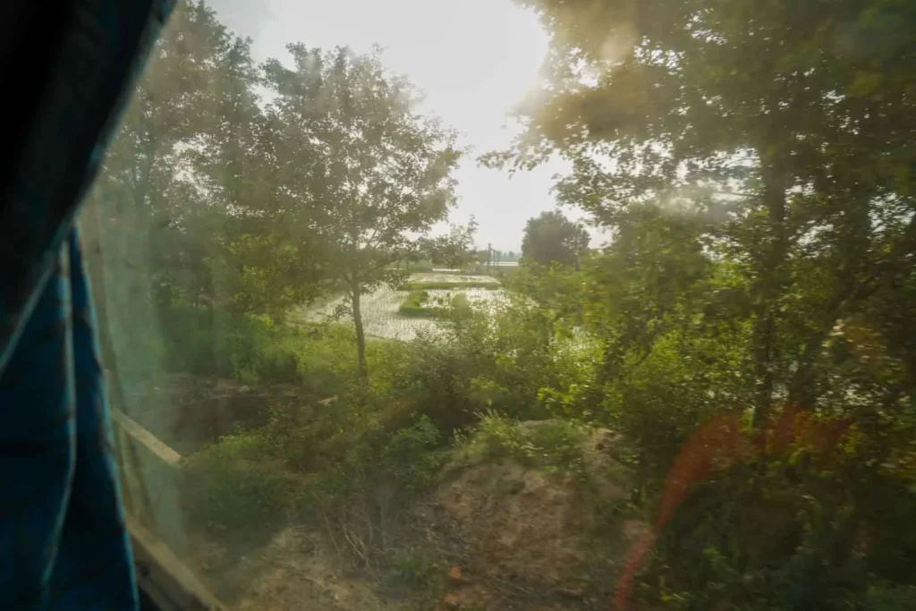 On the train Bikaner to Amritsar. 