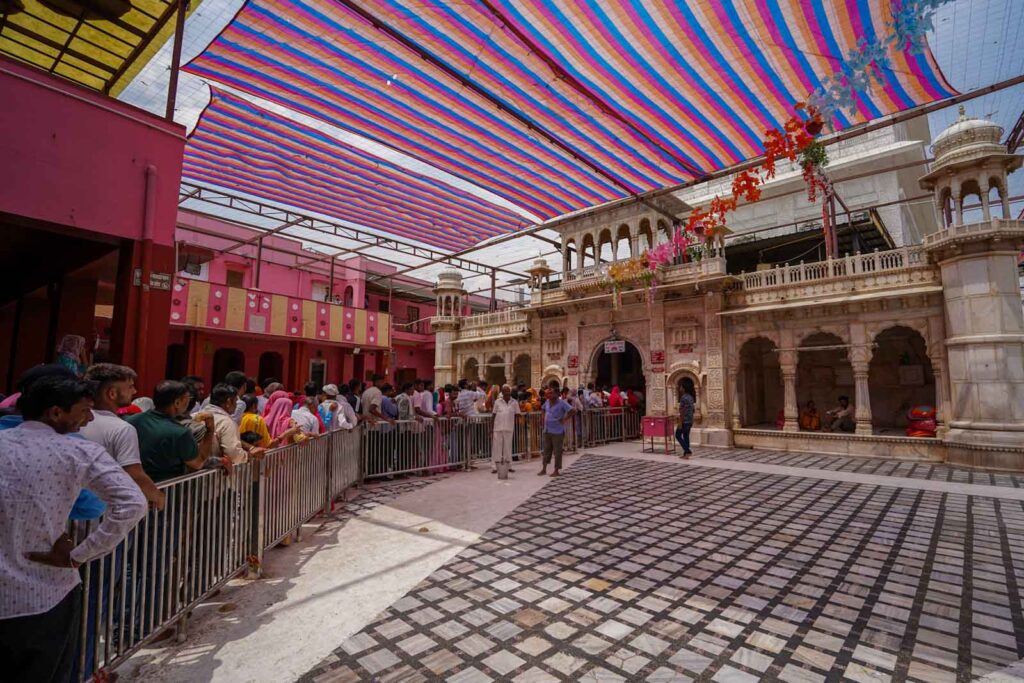 Pilgrims at the Rat Temple in Bikaner. 
