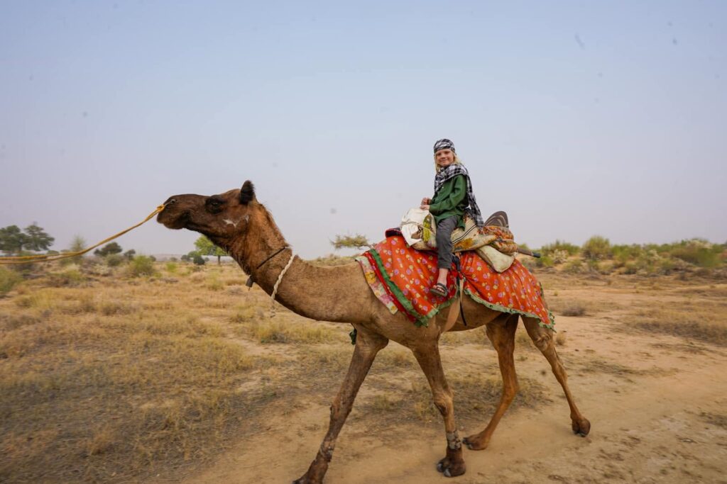 Riding camels travelling India with kids. 