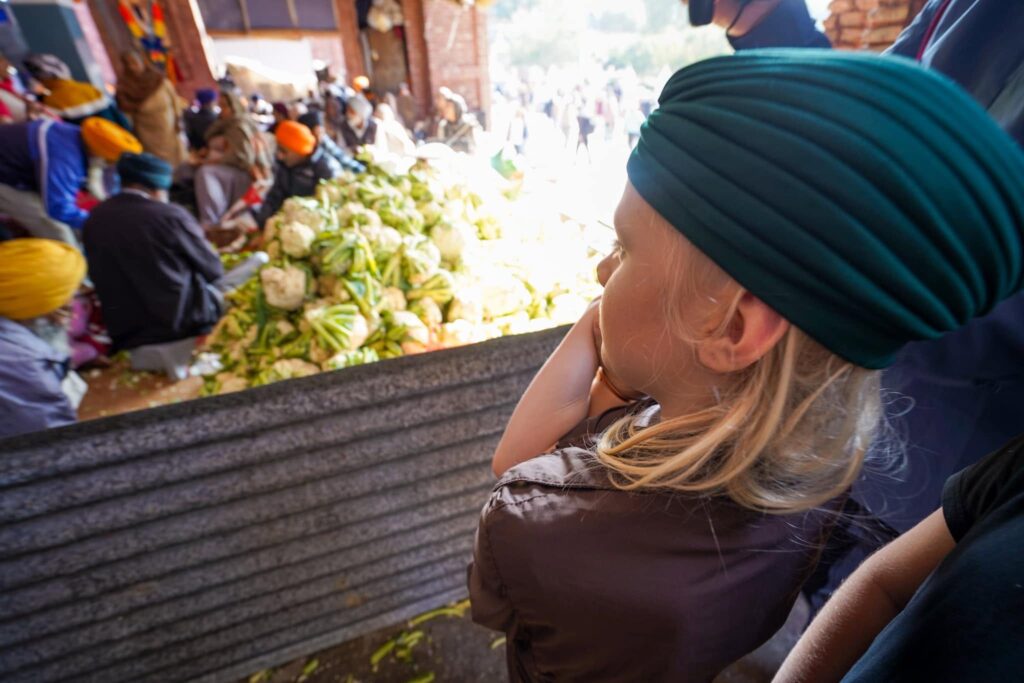 Travelling India with kids. 